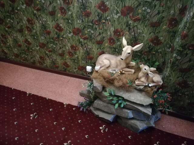 Гостиница Вега Иркутск-29