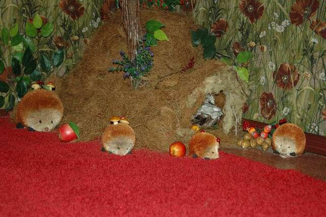 Гостиница Вега Иркутск-9